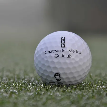 Chateau Les Merles Et Ses Hotel