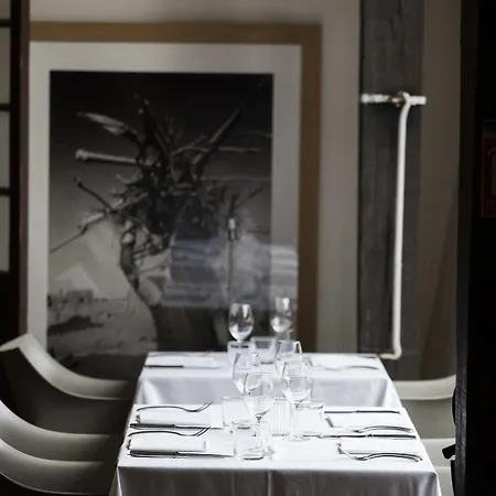 Château Les Merles Et Ses Hotel Mouleydier