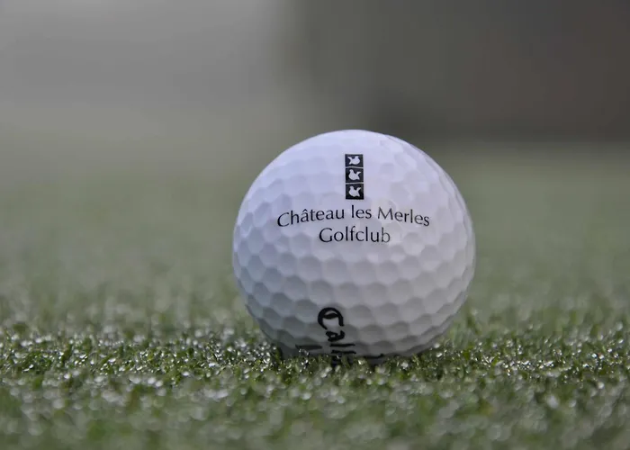 Chateau Les Merles Et Ses Hotel