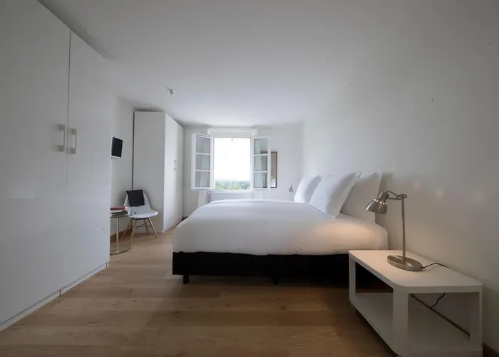 Chateau Les Merles Et Ses 4* Mouleydier