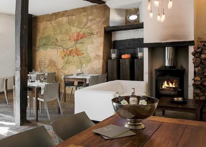 Hotel Chateau Les Merles Et Ses Mouleydier