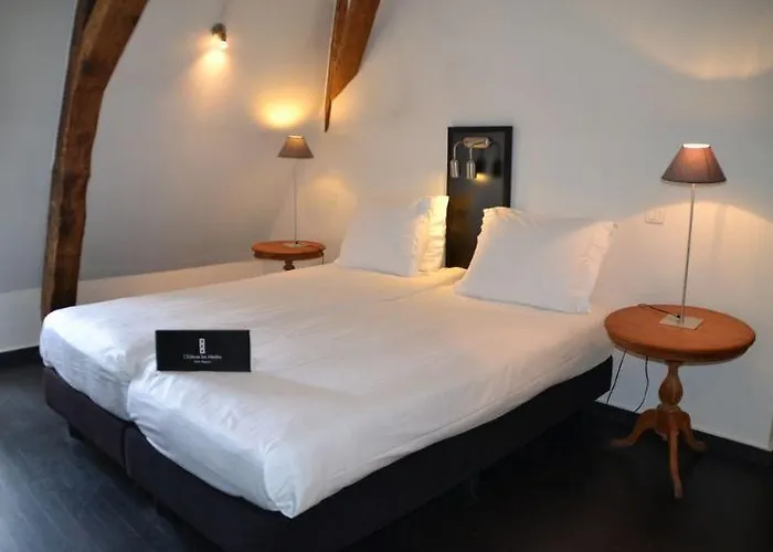 Chateau Les Merles Et Ses Hotel Mouleydier