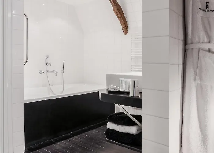 Hotel Chateau Les Merles Et Ses 4*